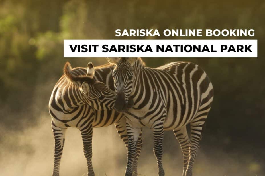 sariska online booking