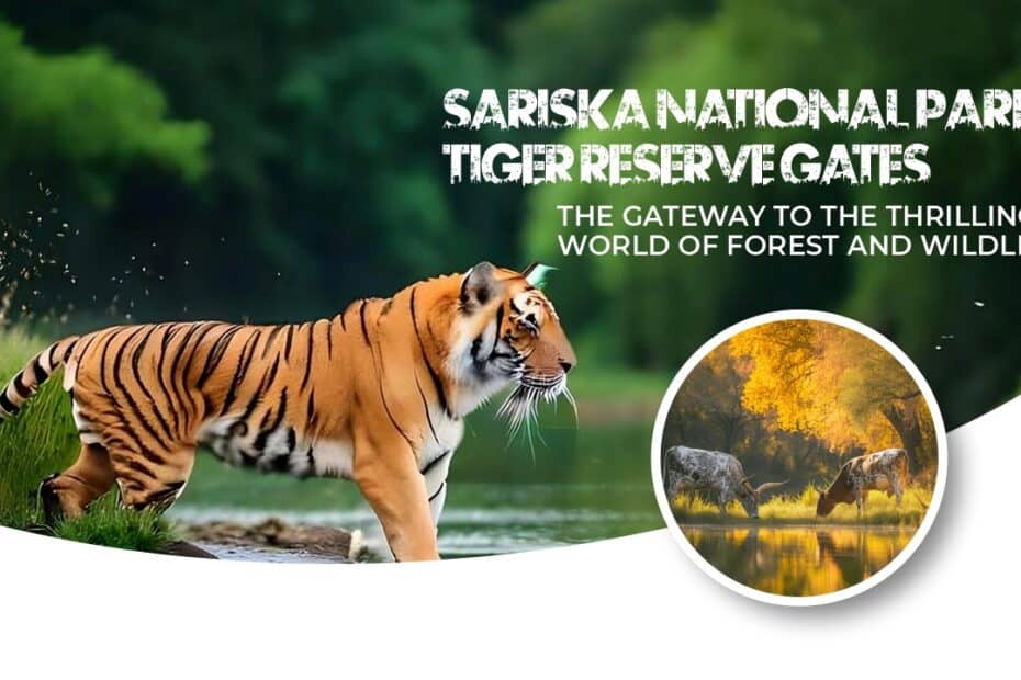 Sariska National Park Tiger Reserve Gates